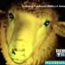 Scientists Create Glow-in-the-Dark Sheep