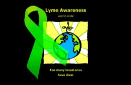 Lyme Disease Awareness