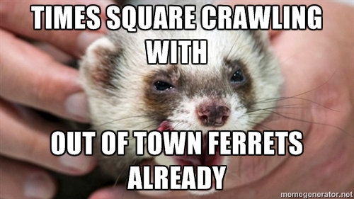 FERRETBAN4
