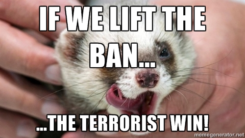 FERRETBAN5