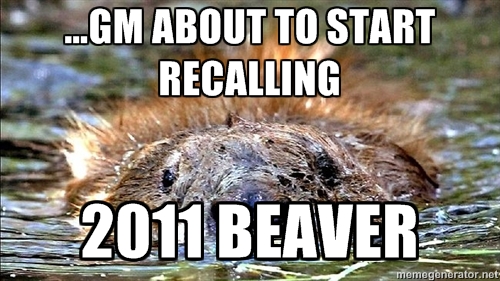 beaver10