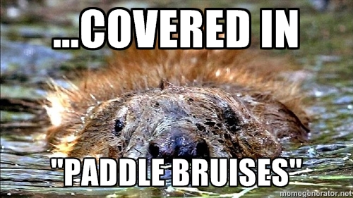 beaverattack1