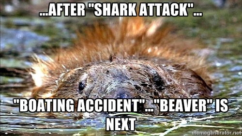 beaverattack4