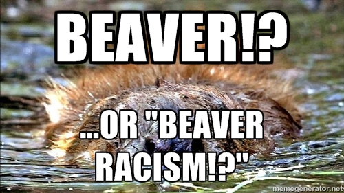 beaverattack5