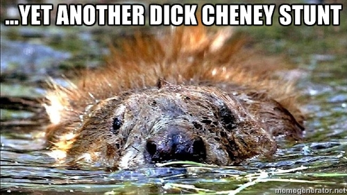 beaverattack6